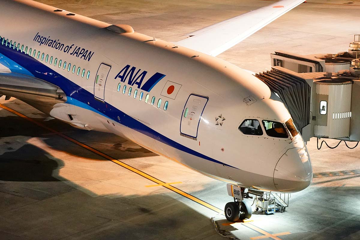 ANA787