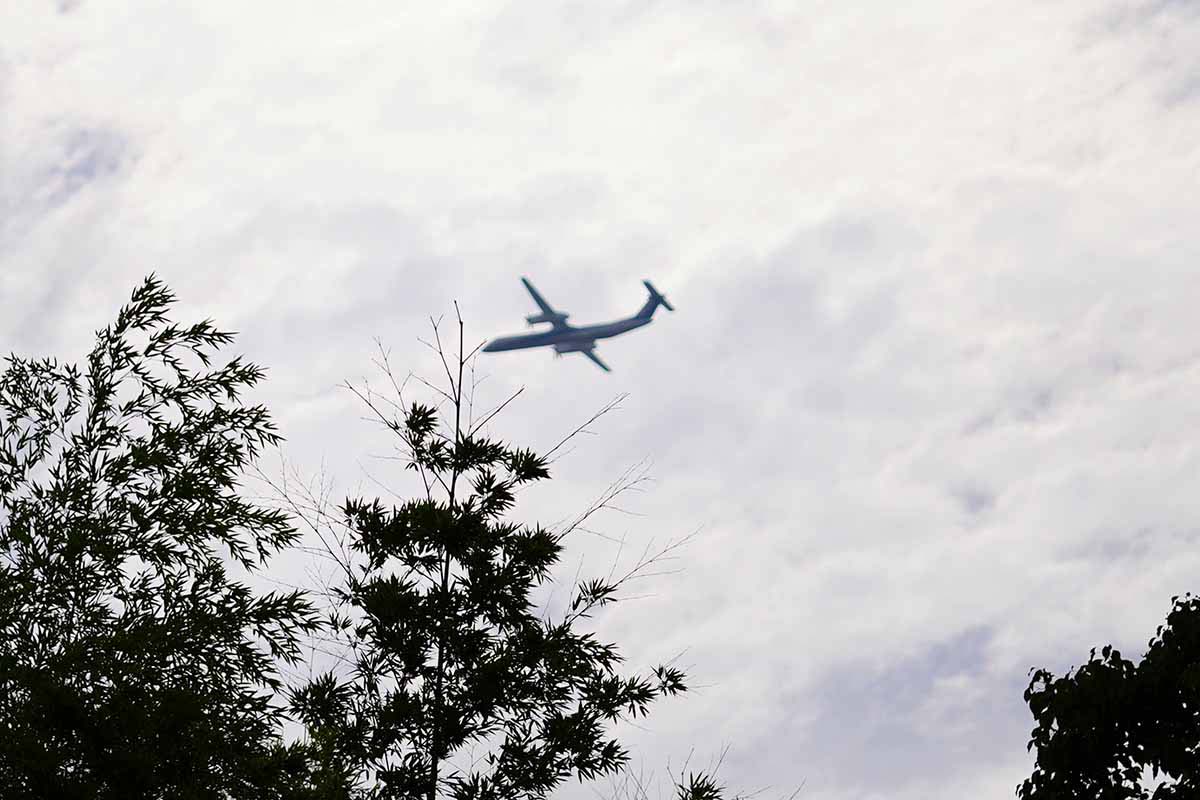飛行機