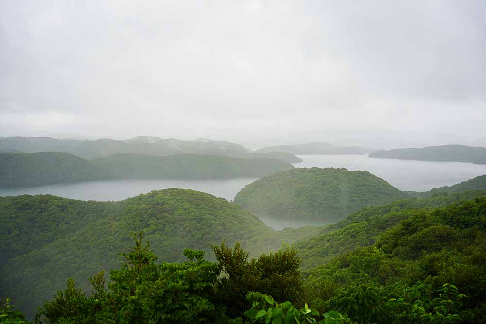 展望台からの景色