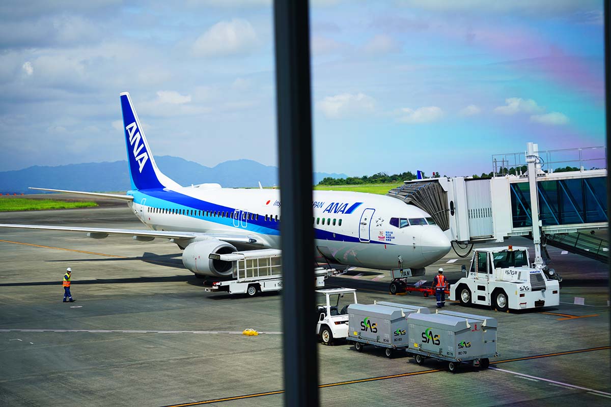 ANA1263便