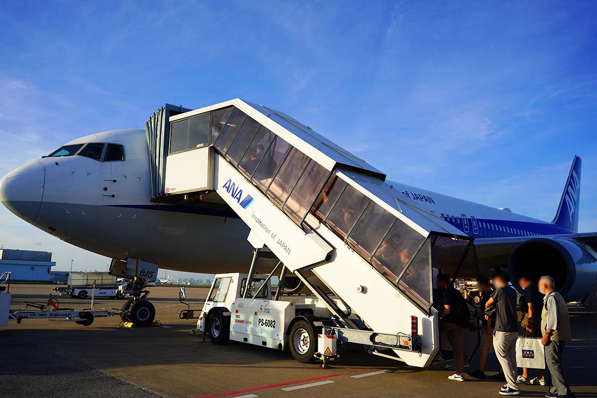 ANA B767-300ER Domestic