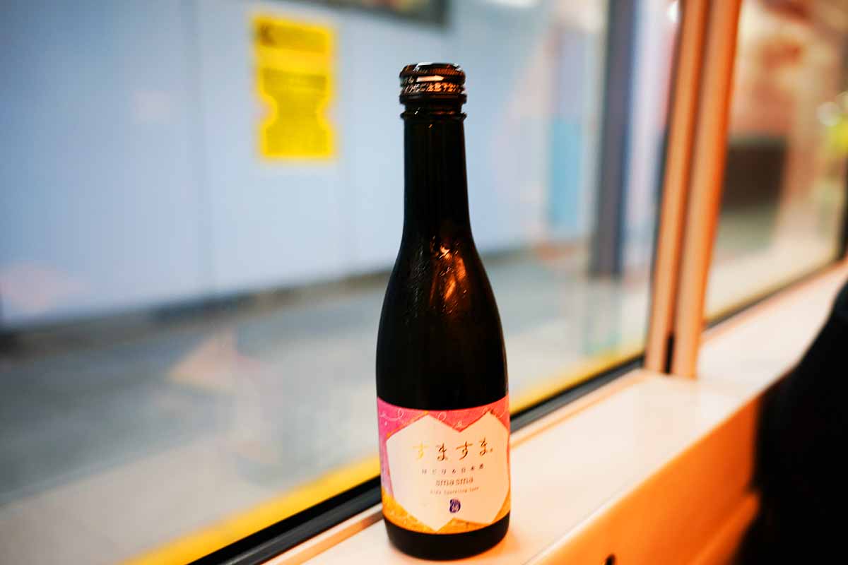 E257系窓際