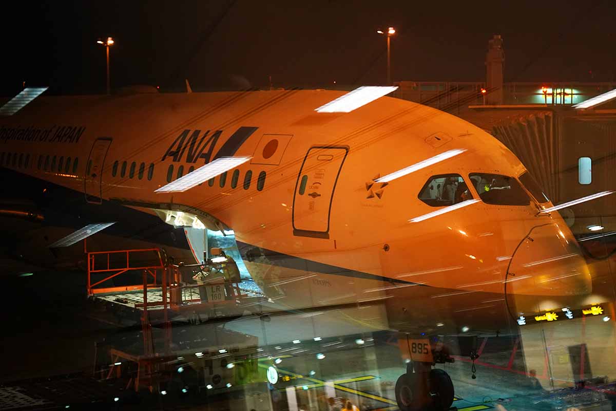 非売品　ANA 東京 シンガーポール線 就航記念 ルーペ 180328_moa3271_78710_sia_rjbb-