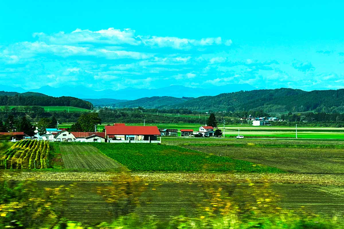 道東自動車道からの景色
