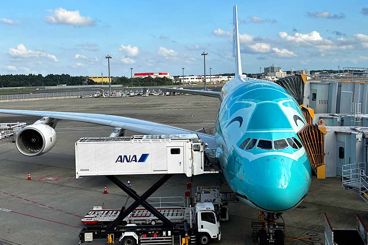 ANA フライングホヌ　成田空港