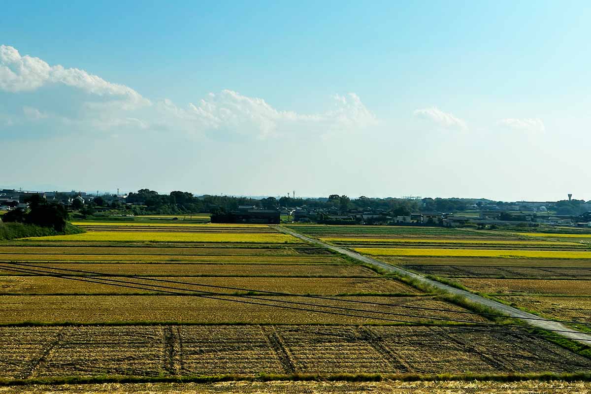わかくす号　景色