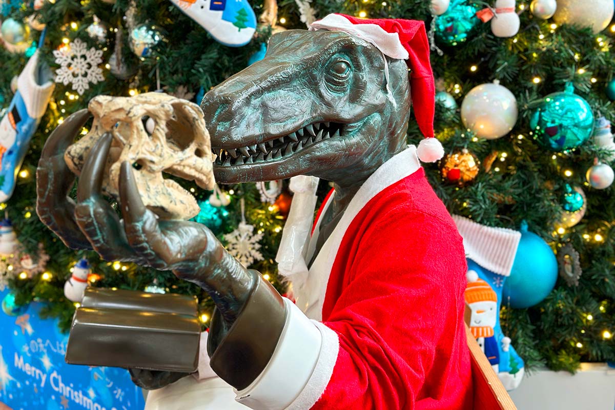 羽田空港第2ターミナル サンタさん