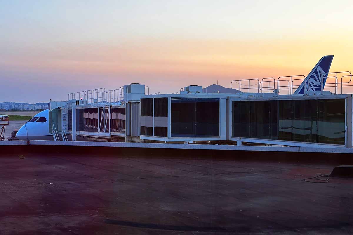 ANA787
