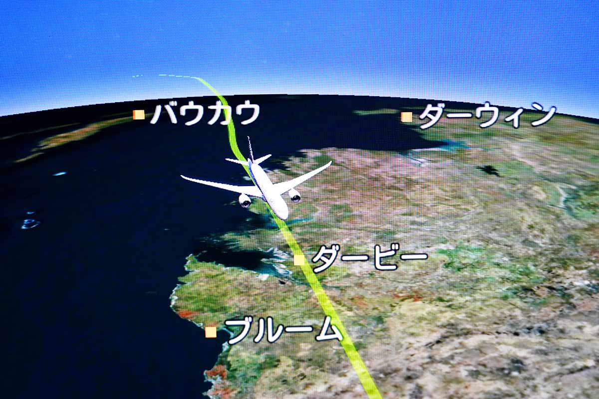 ANA flight map view