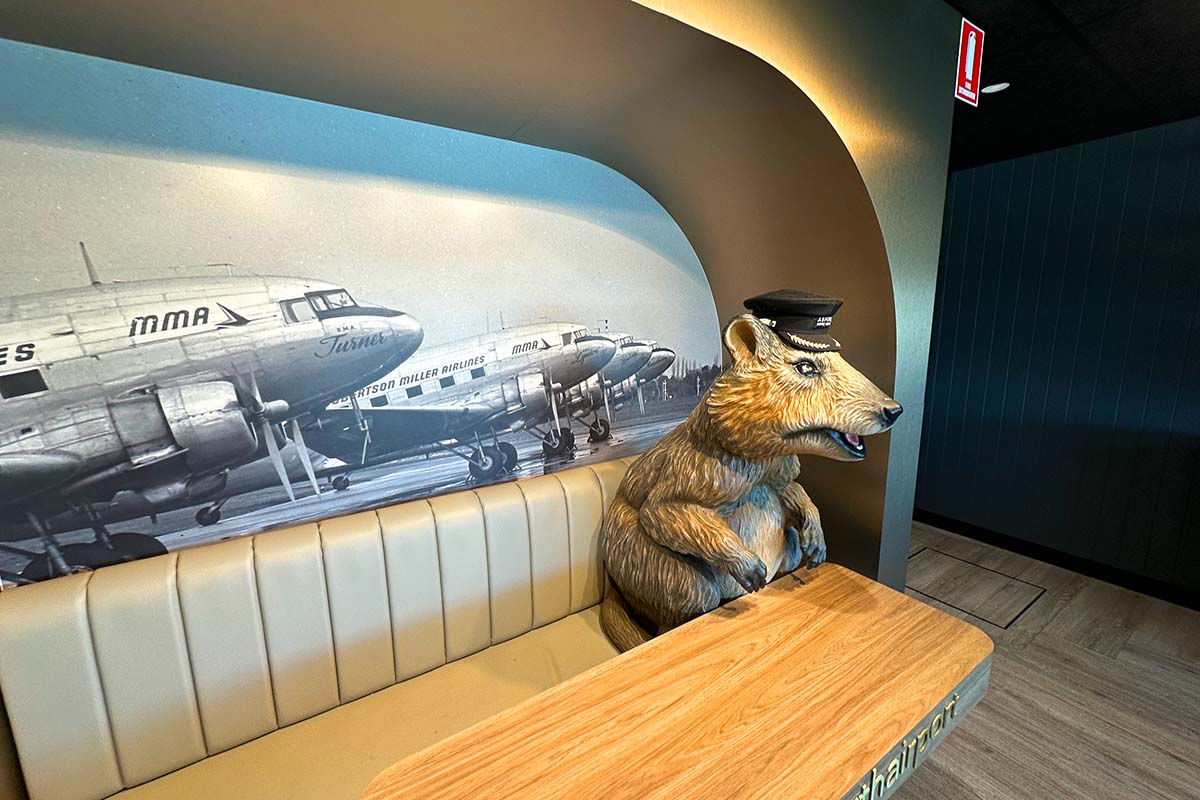 Aspire lounge bear