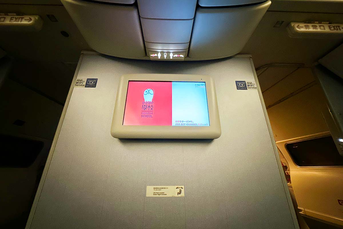 ANA B767-300ER モニター