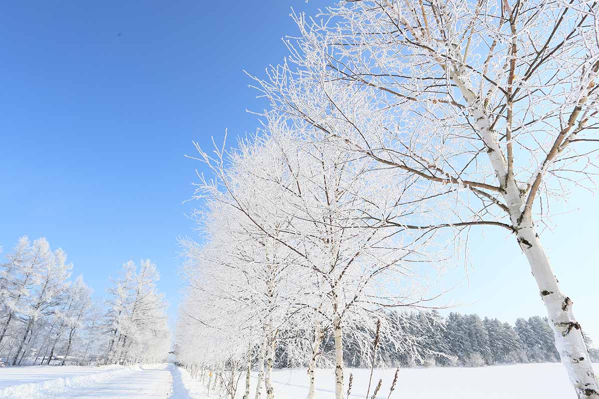 北海道