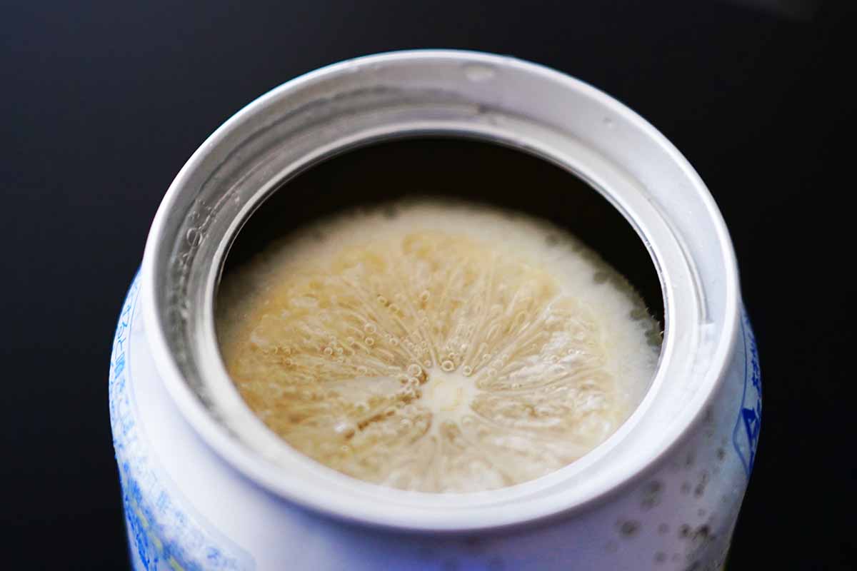 未来のレモンサワー　レモン