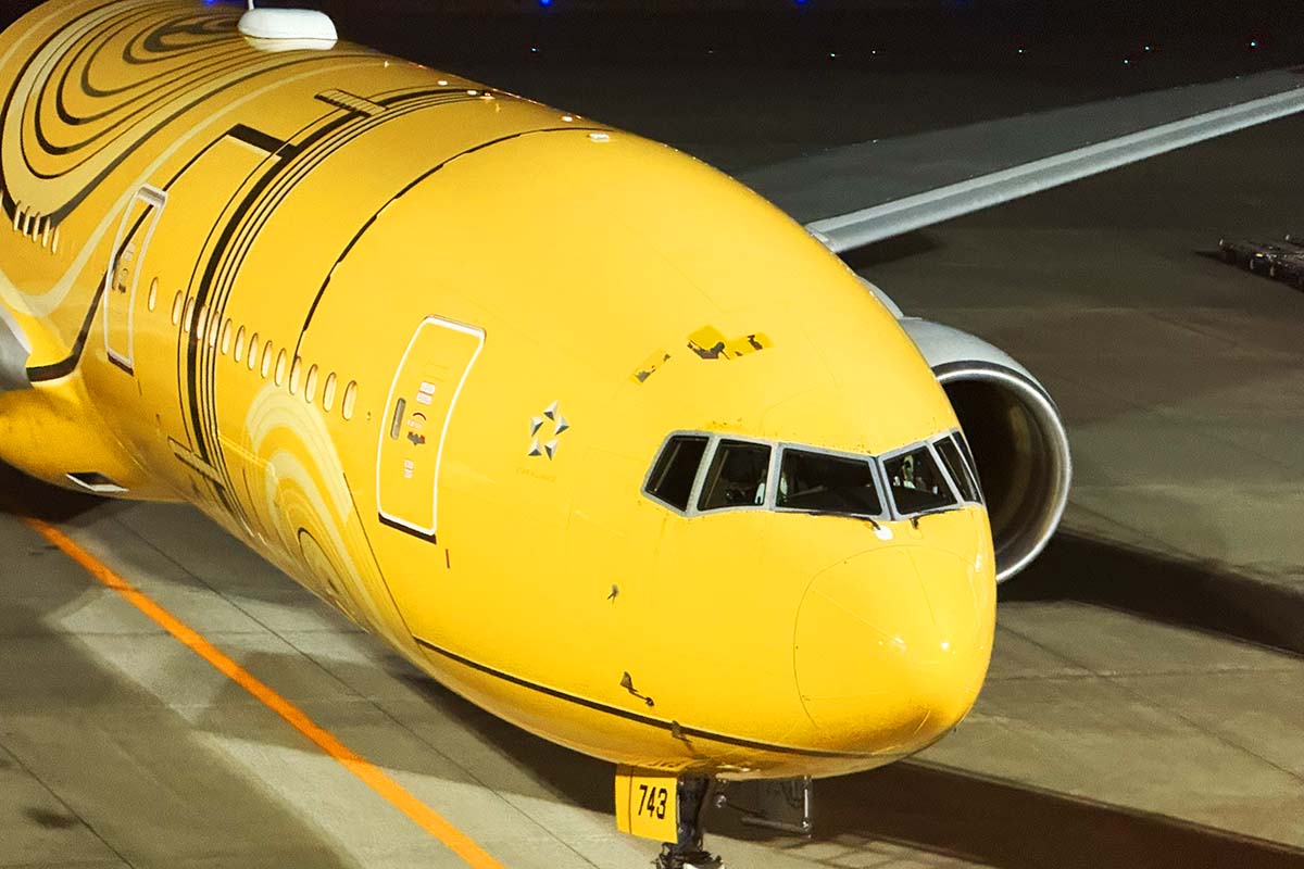 その他 a7xmasa Boeing 777-200 (772) [Japan Domestic Flights] | ANA