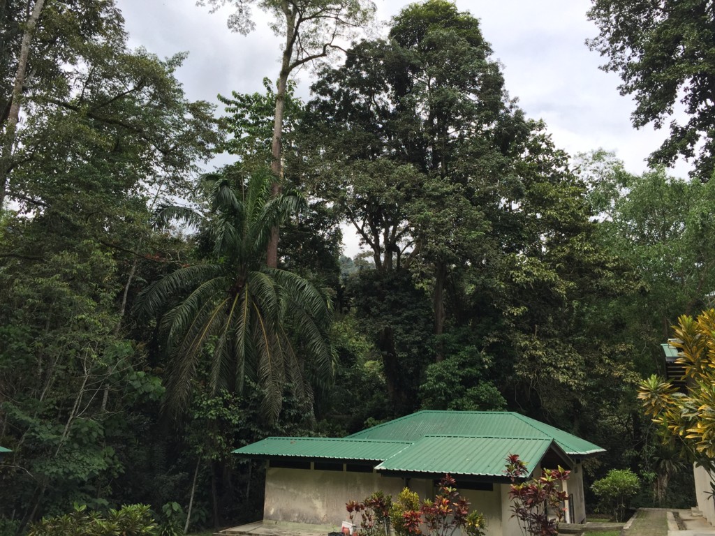 f:id:dantyutei:20161229141948j:plain