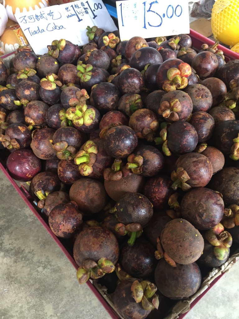 f:id:dantyutei:20161230142215j:plain