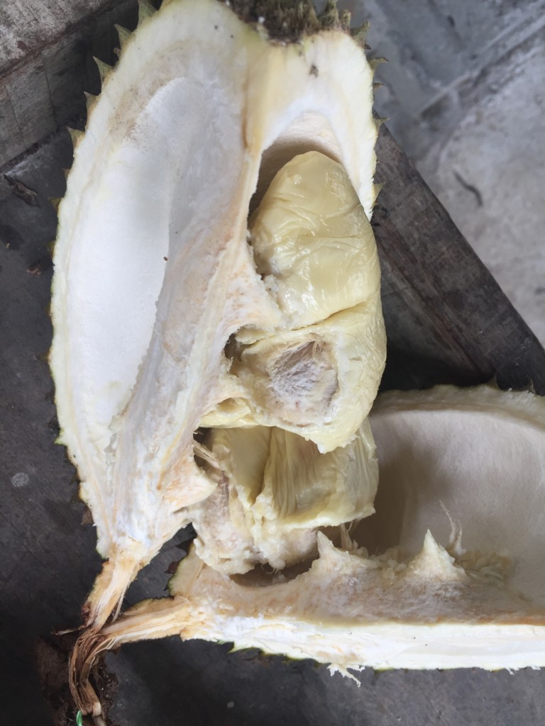 f:id:dantyutei:20170103133508j:plain