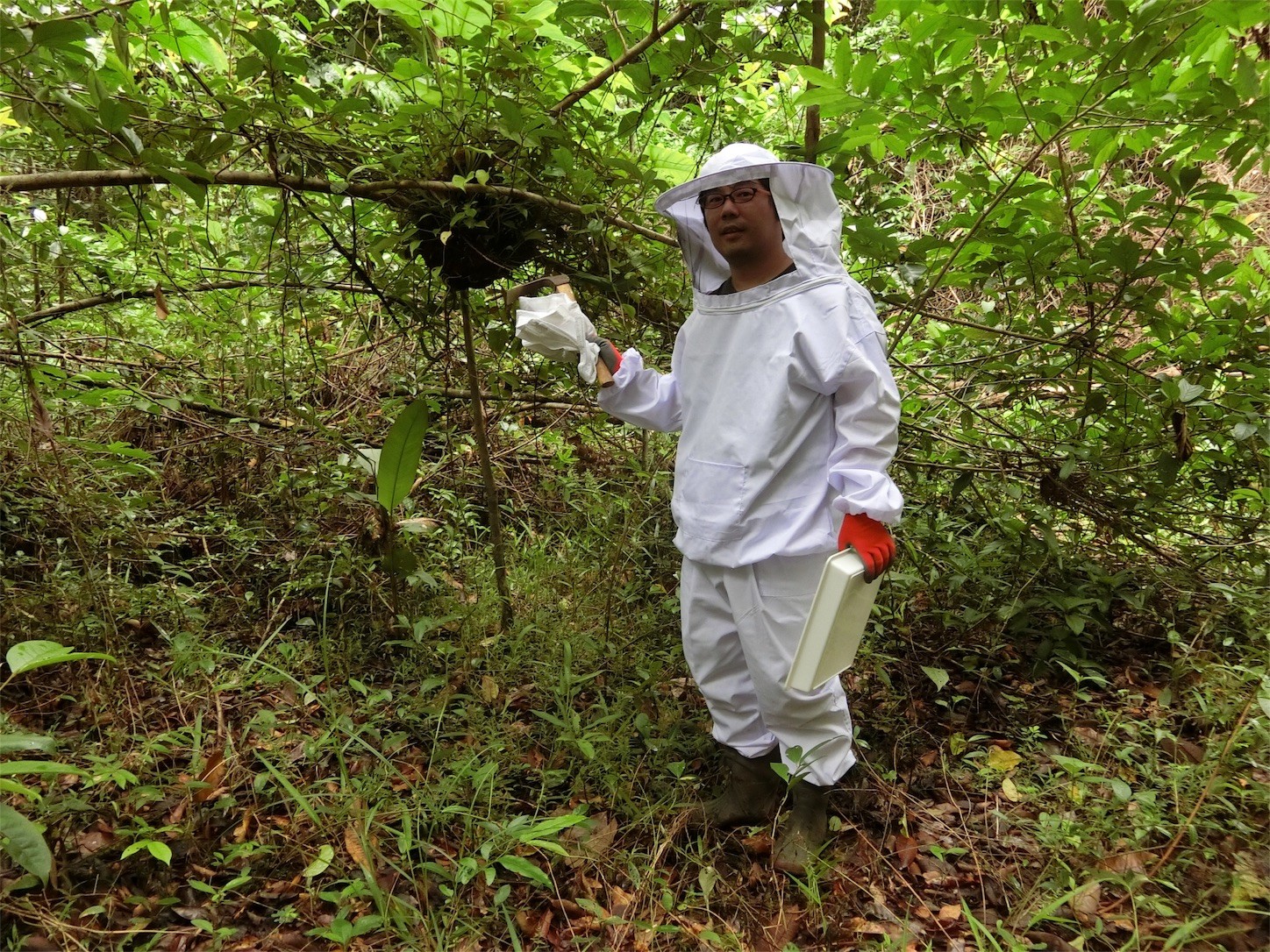 f:id:dantyutei:20170211061509j:image