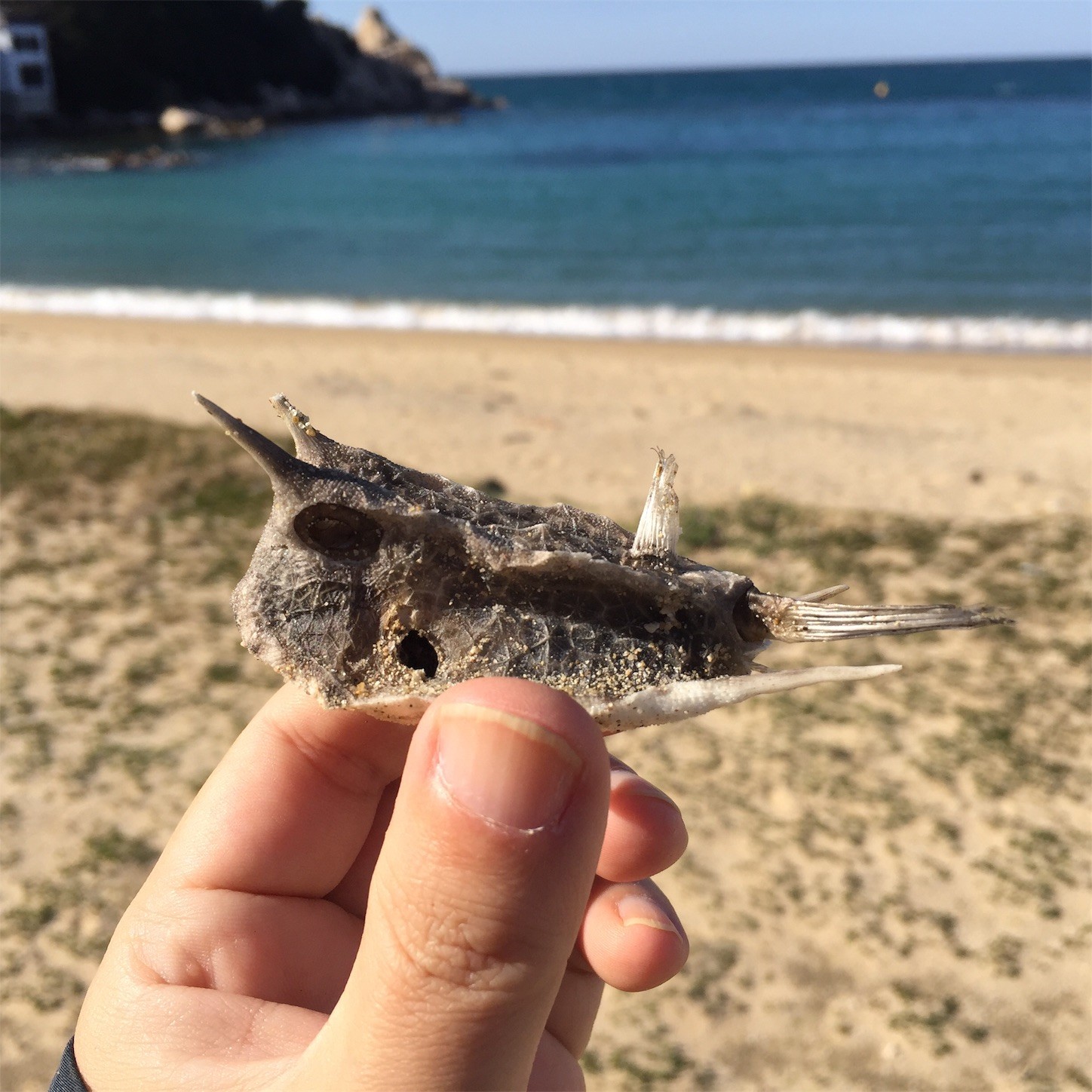 f:id:dantyutei:20170227183810j:image