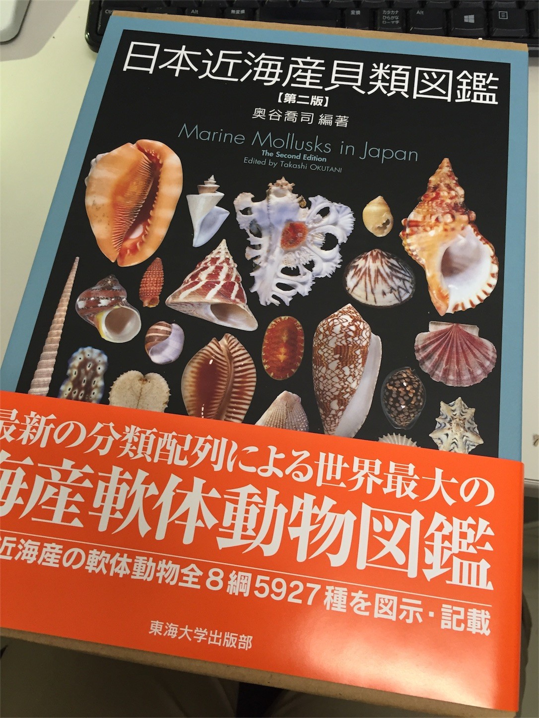 f:id:dantyutei:20170227184010j:image f:id:dantyutei:20170227184010j:image