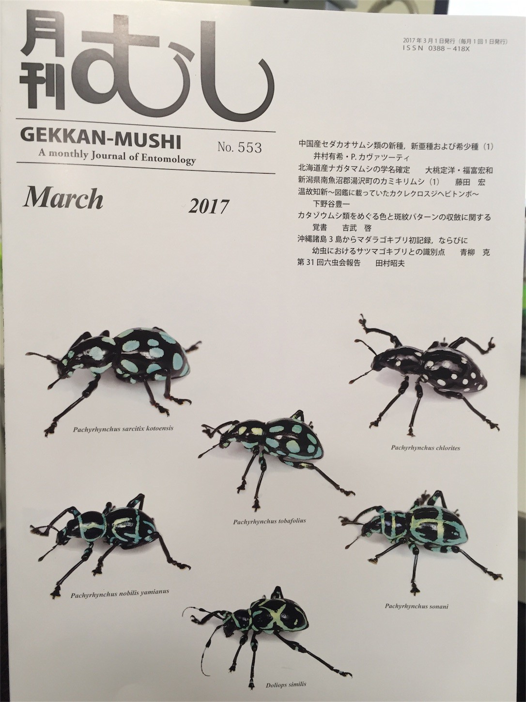 f:id:dantyutei:20170227184345j:plain f:id:dantyutei:20170227184345j:plain