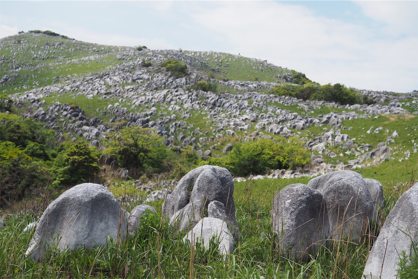 f:id:dantyutei:20170507225717j:image