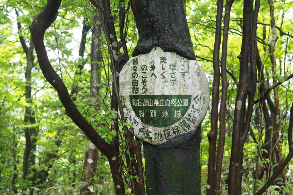 f:id:dantyutei:20170513124226j:plain