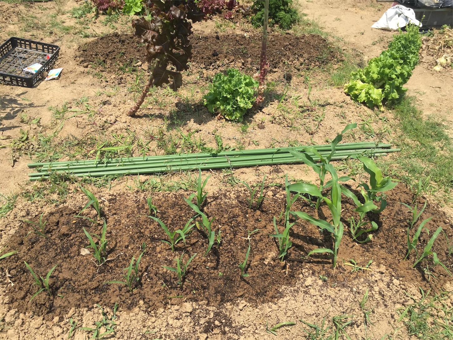 f:id:dantyutei:20170605182602j:image