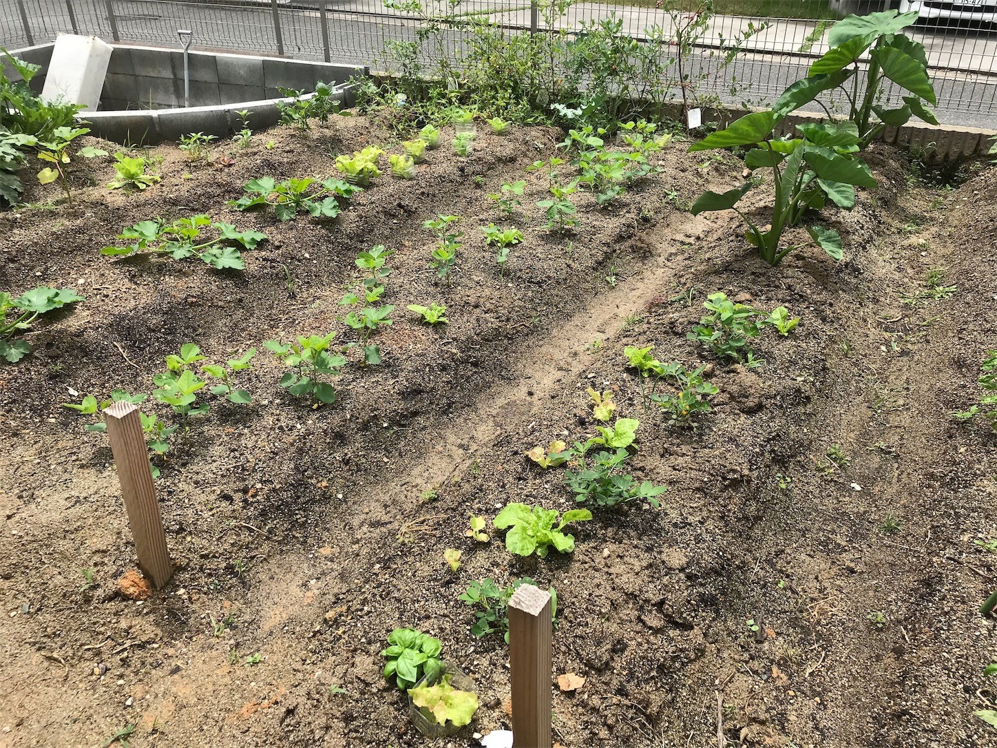 f:id:dantyutei:20190702123439j:image