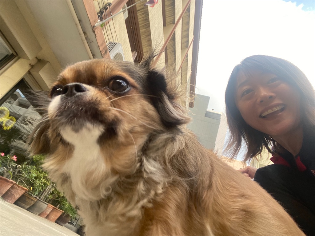 f:id:dao1973dao:20250617195228j:image
