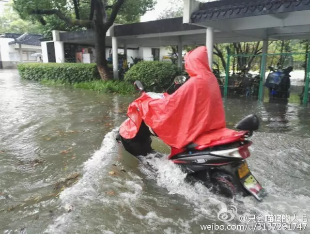 f:id:daotian105:20160702222253p:plain f:id:daotian105:20160702222253p:plain