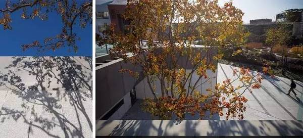 f:id:daotian105:20160909194605p:plain