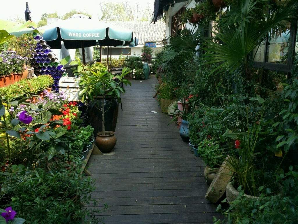 f:id:daotian105:20160925163255j:plain