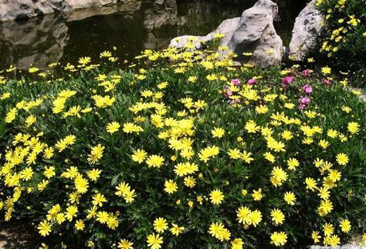 f:id:daotian105:20161111124503p:plain