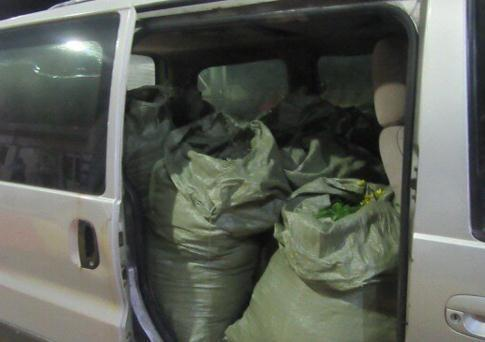 f:id:daotian105:20161111150901p:plain