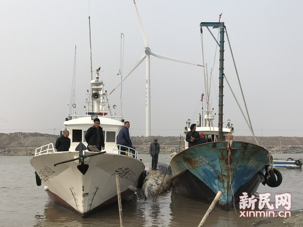 f:id:daotian105:20170321201214p:plain