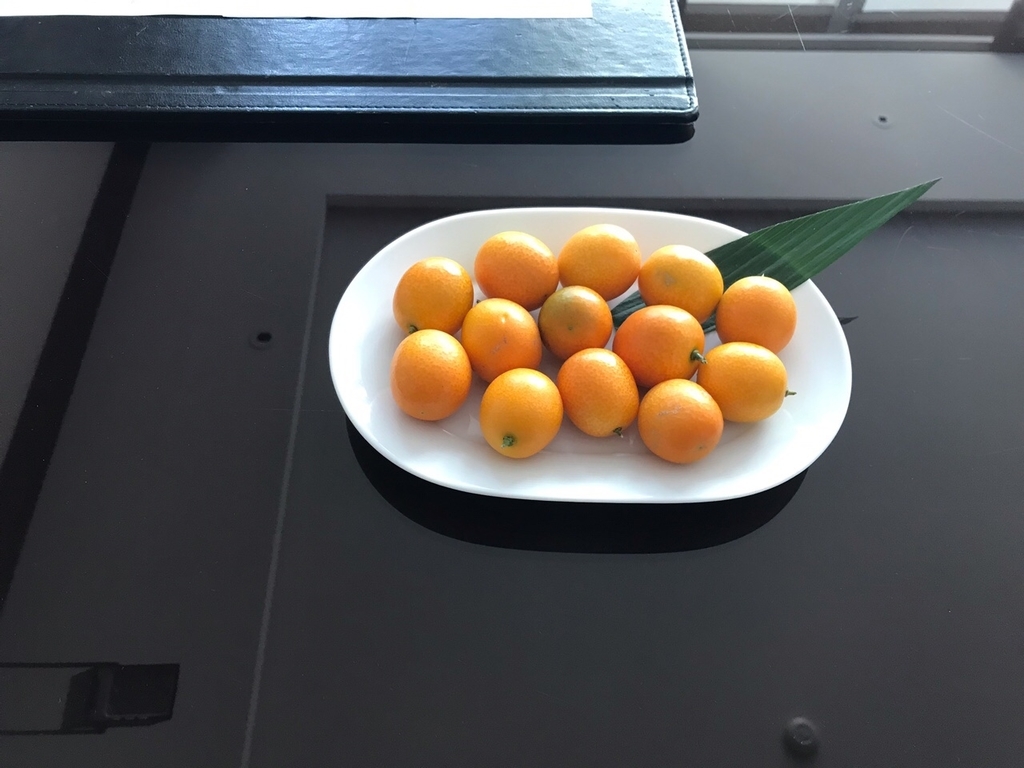 f:id:daotian105:20190121181623j:plain