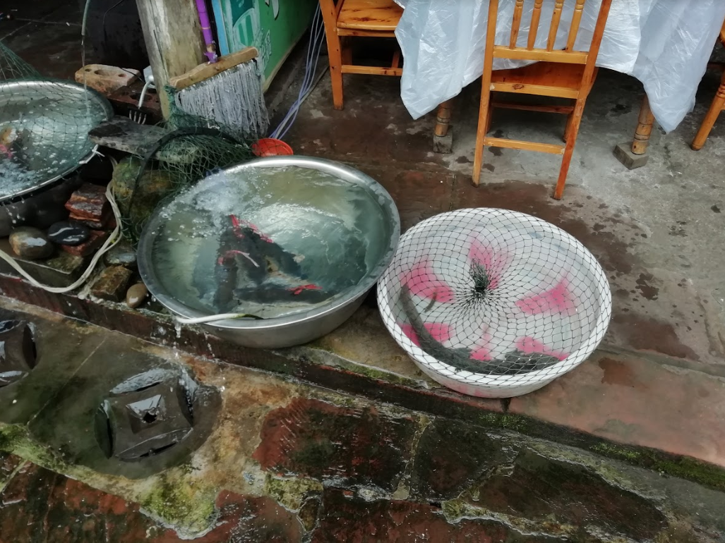 f:id:daotian105:20190318170513p:plain f:id:daotian105:20190318170513p:plain