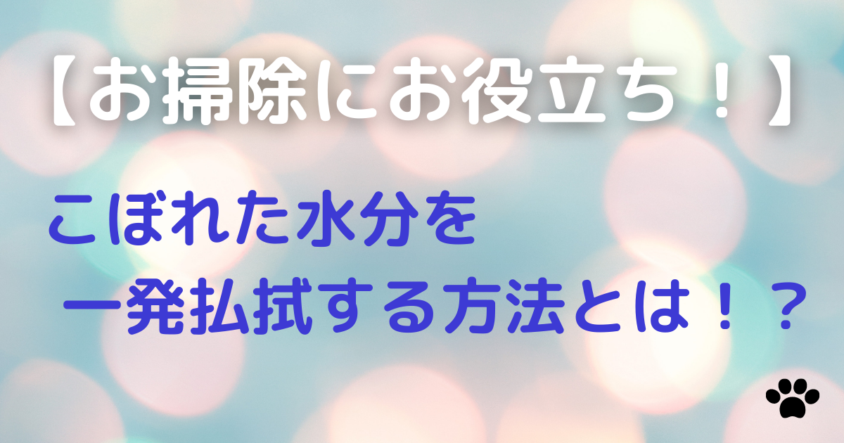 f:id:daradara_roriko:20210218150947p:image