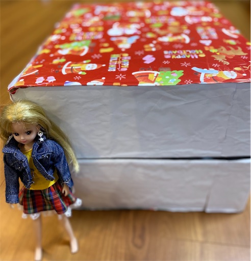 f:id:daradara_roriko:20210304204836j:image f:id:daradara_roriko:20210304204836j:image