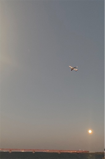 f:id:daradara_roriko:20210920211307j:image f:id:daradara_roriko:20210920211307j:image