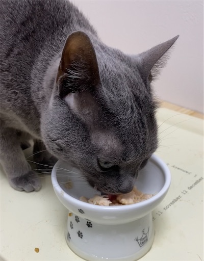 f:id:daradara_roriko:20220525134600j:image f:id:daradara_roriko:20220525134600j:image