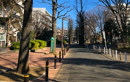 f:id:darakarumena:20190102174608j:plain