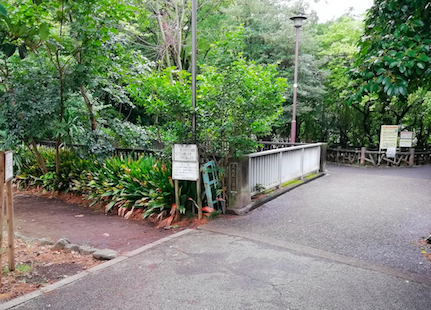 f:id:darakarumena:20191014002155j:plain