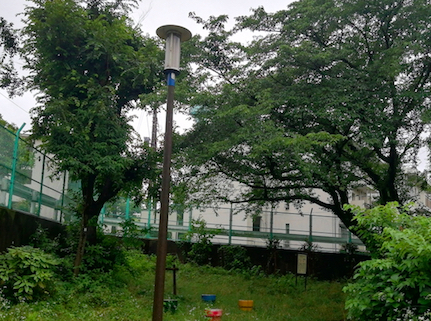 f:id:darakarumena:20200620212915j:plain