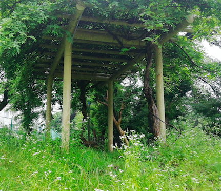 f:id:darakarumena:20200620235606j:plain