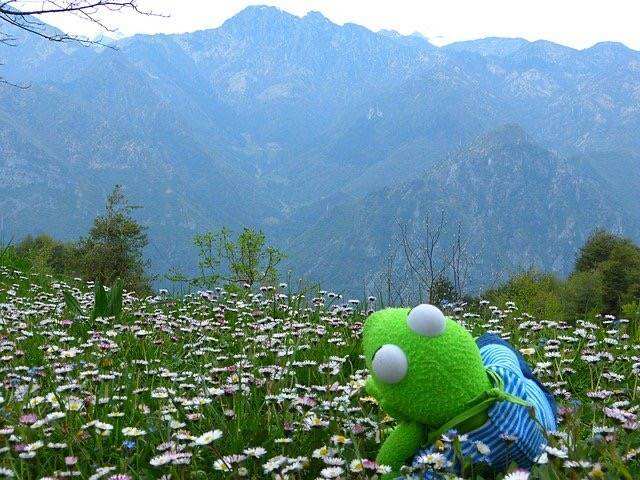 カエルの人形がお花畑で山を見てリラックスしている写真