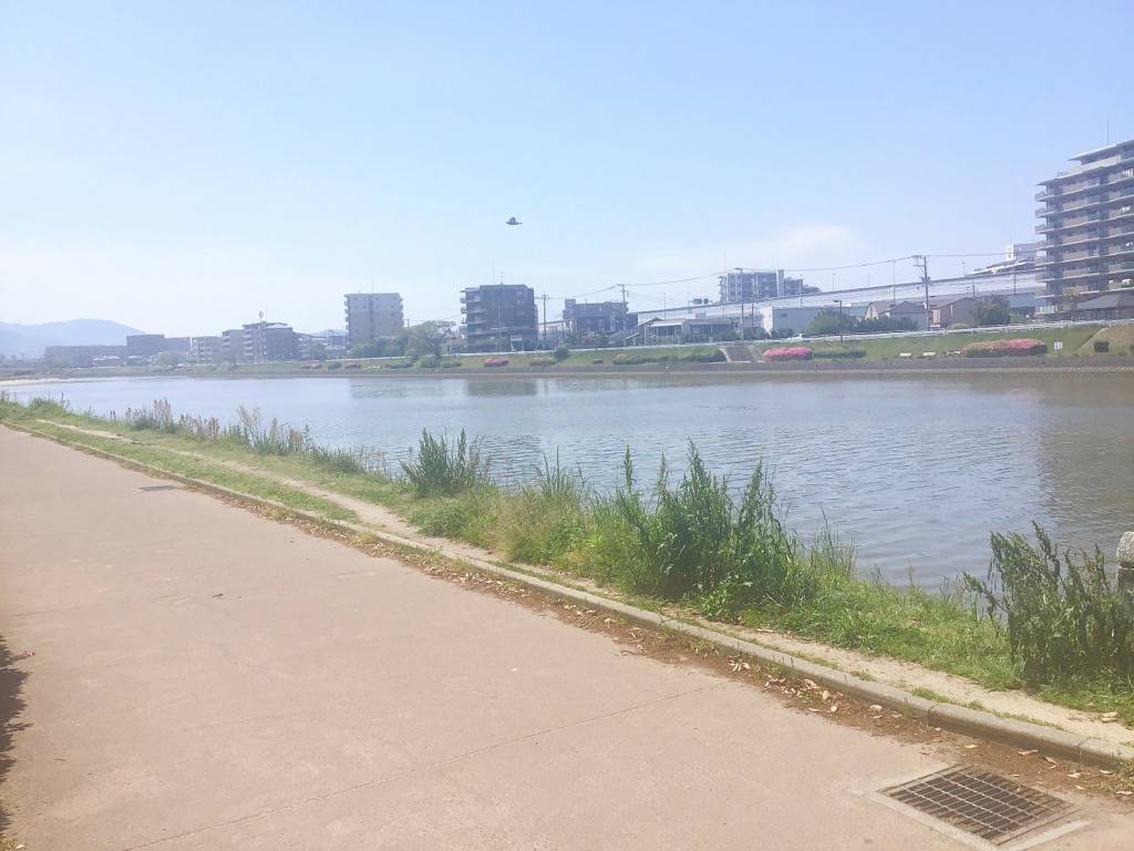 室見川　南側を向いて撮った写真