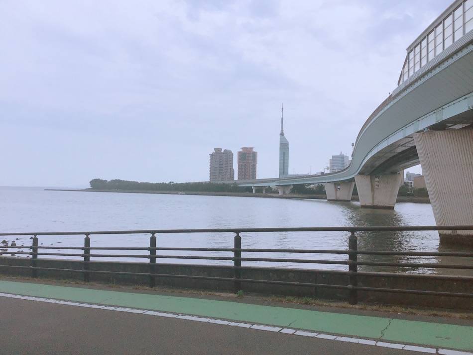 室見川沿いの道