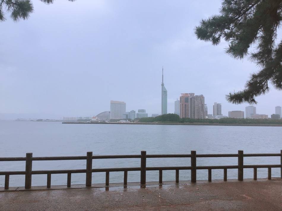 愛宕浜から見た福岡タワー